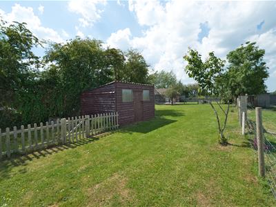 Picture 24